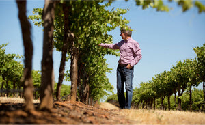 HATCH | Hatch in the vineyards